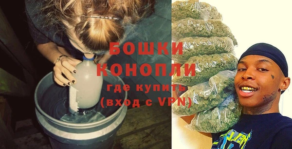ПСИЛОЦИБИНОВЫЕ ГРИБЫ Беломорск
