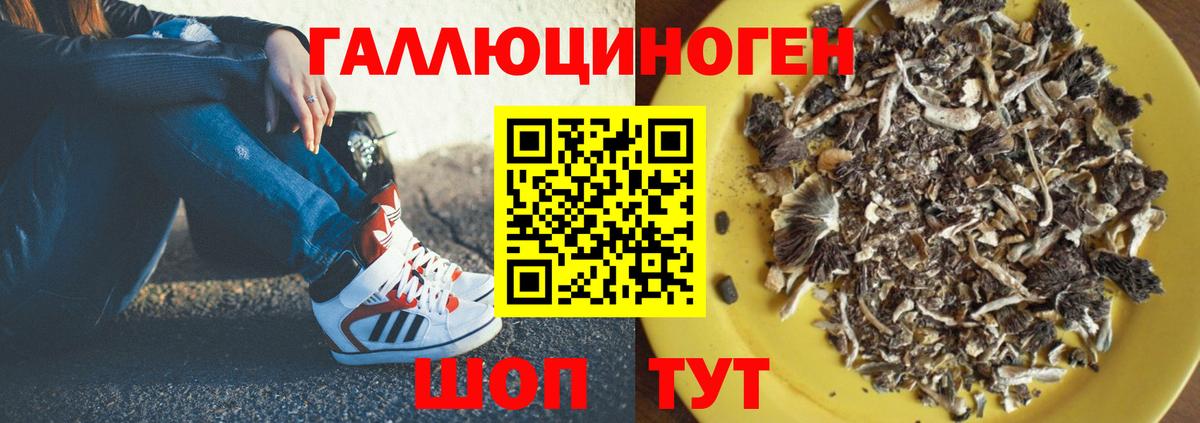 Галлюциногенные грибы Cubensis Белореченск