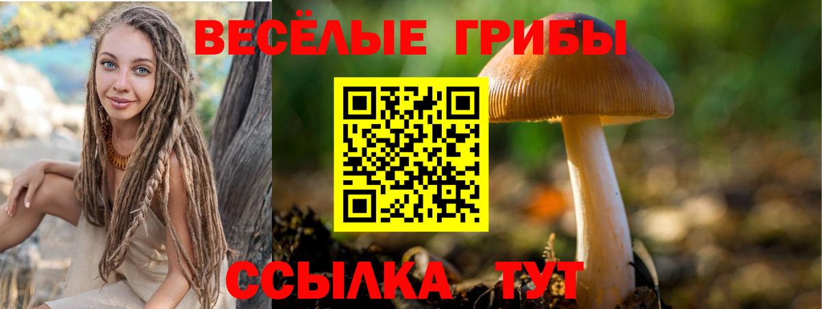 Псилоцибиновые грибы Cubensis  Псилоцибиновые грибы Cubensis  Вход с VPN  Белореченск 